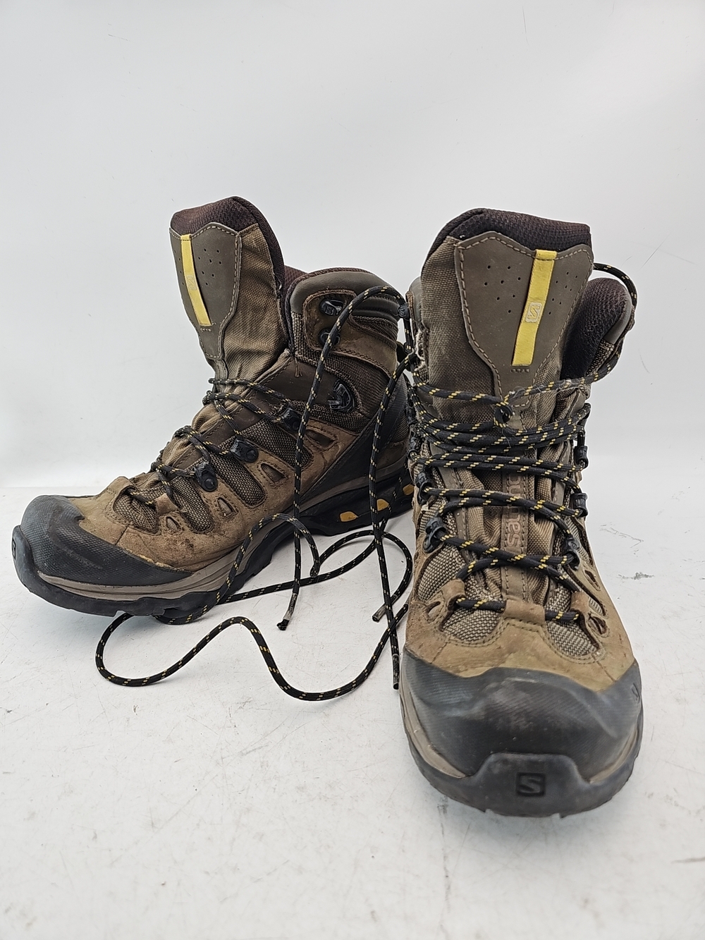 Salomon Quest 4D GTX Hiking Boots